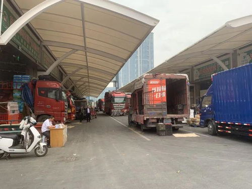 市城管局赴蘇州調(diào)研農(nóng)副產(chǎn)品批發(fā)市場運維情況